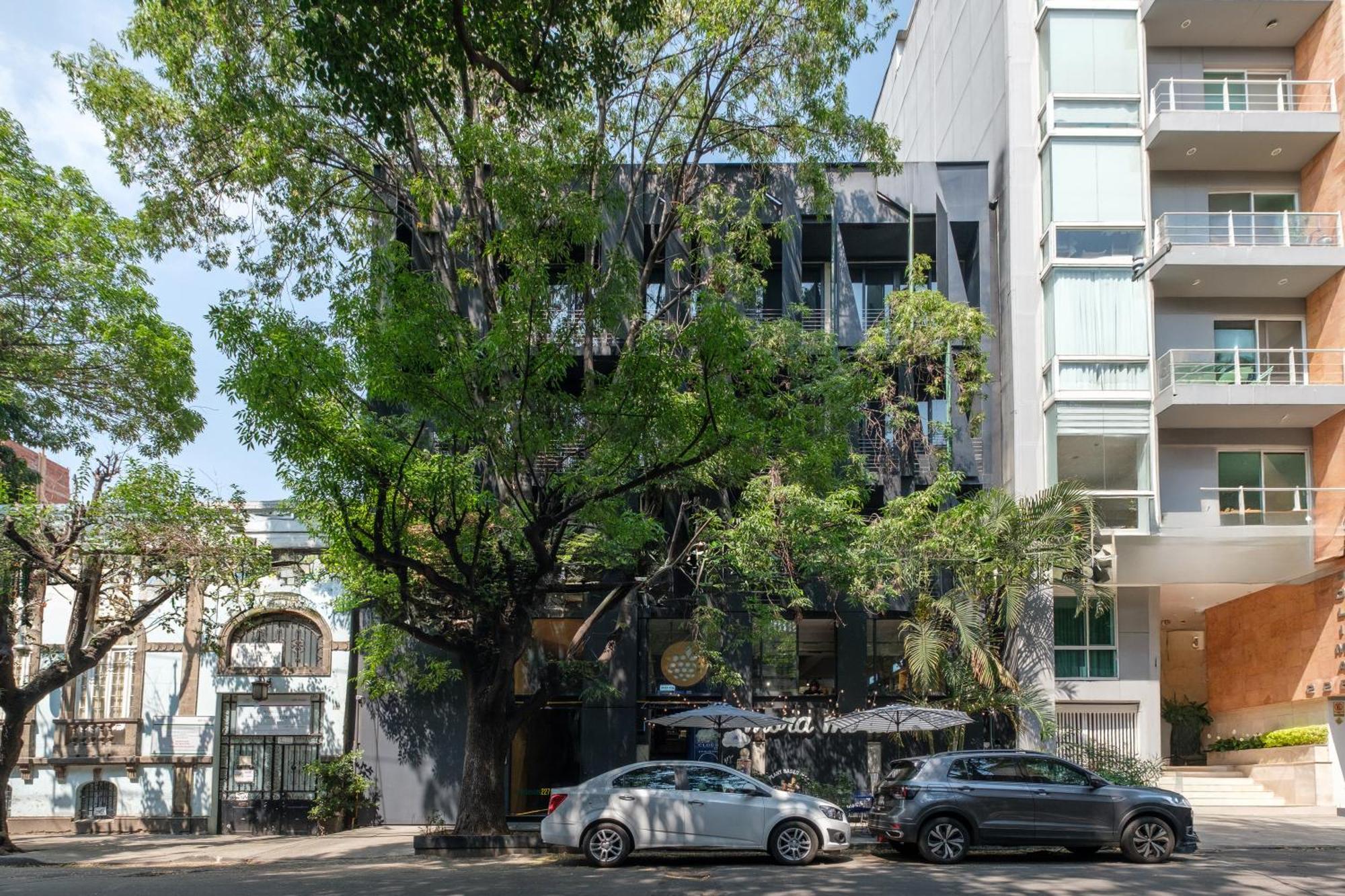 Boga Mexico City By Lumina Eksteriør bilde